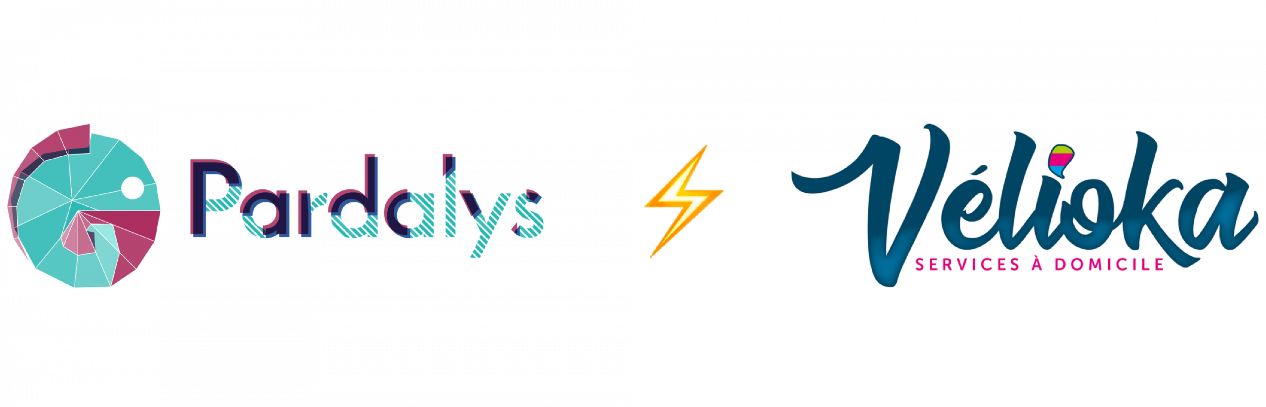 VeliokaX Pardalys connexion site